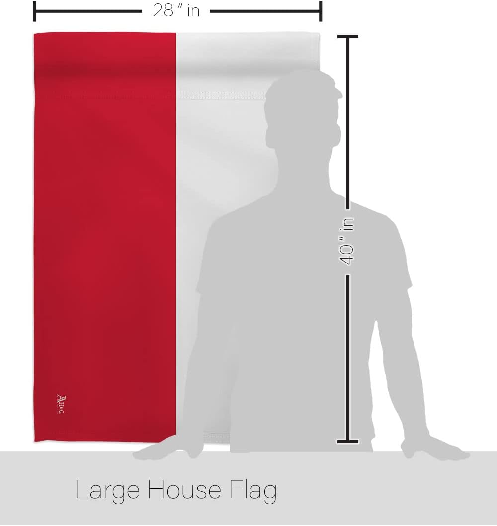 Outdoor Flags for Polish Sport - Party Games Usa recensie en prijs
